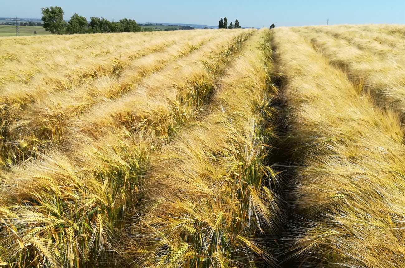 Pour une agriculture ind&eacute;pendante et raisonn&eacute;e