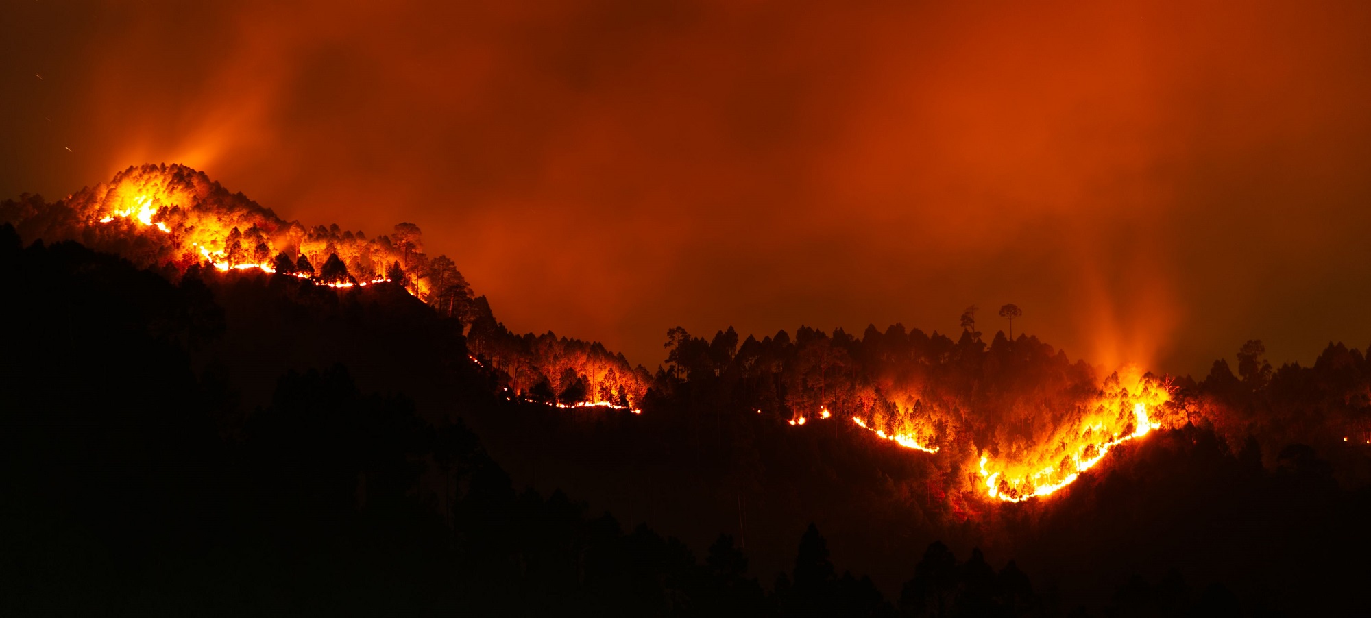 Communiqu&eacute; - Les terribles incendies qui frappent la France